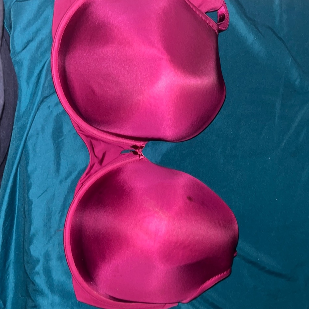 Torrid bra 💓